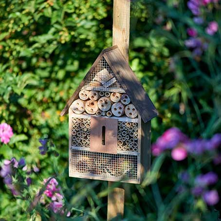 Guide: Få fler insekter i trädgården med insektshotell och växter