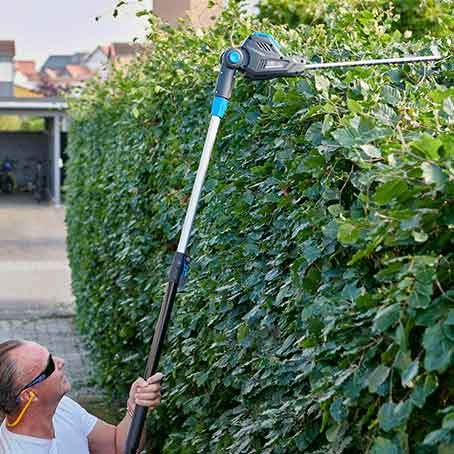 Allt du behöver veta om klippning och beskärning av bokhäckar